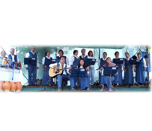 cantar damigos